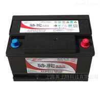 12V-54AH骆驼蓄电池6-QWLZ-48