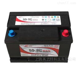 12V-54AH骆驼蓄电池6-QWLZ-48
