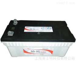 12V-195AH骆驼蓄电池6-QW-195mf