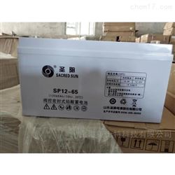 SSP12-65圣阳蓄电池12V65AH