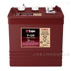 T-125邱健蓄电池