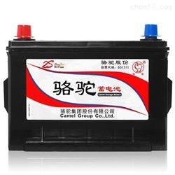 6-QWLZ-48骆驼蓄电池