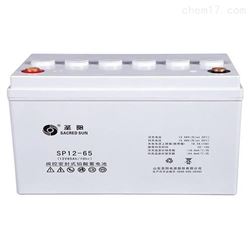 12V65AH圣阳蓄电池