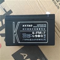 12V17AH科士达电池