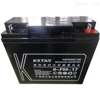 12V65AH科士达蓄电池