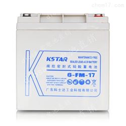 12V100AH科士达电池
