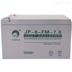 JP-HSE-65-12劲博电池12V65AH