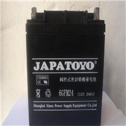 6-GFM-24东洋蓄电池12V24AH