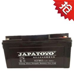 6-GFM-65东洋蓄电池12V65AH