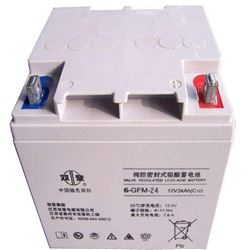 6-GFM-24双登蓄电池