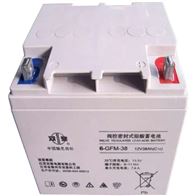 6-GFM-38双登蓄电池