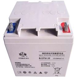 6-GFM-38双登蓄电池