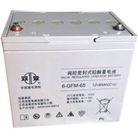 6-GFM-65双登蓄电池