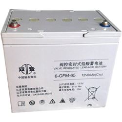 6-GFM-85双登蓄电池