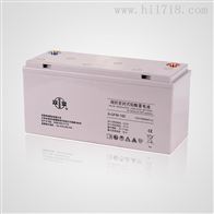 6-GFM-120双登蓄电池