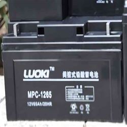 MPC-1265洛奇蓄电池