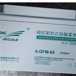 6-GFM-65科华蓄电池